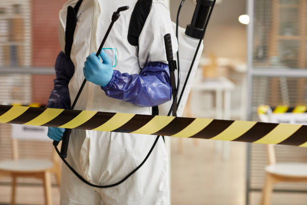 Professional Sewage Cleanup technician working in Highlands, NJ